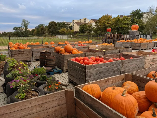 Tannenhof Spargel - Meinhardt's Hofladen