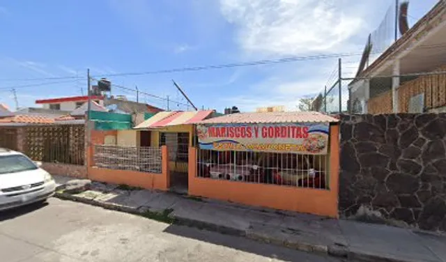 MARISCOS Y GORDITAS ESTILO ACAPONETA