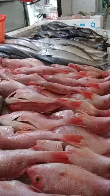 Pescados y Mariscos la costa de veracruz