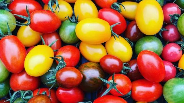 野本農園直売所