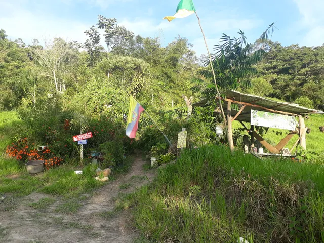 Jardín Botánico ¨El Gato¨ / Botanic Garden ¨El Gato¨