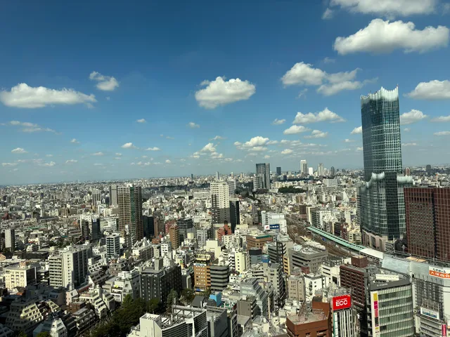 Shinjuku L Tower Sun Sky Room