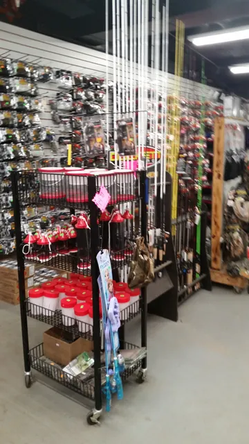 Cypress Knee Outdoors