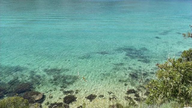 Apartments Vila Pičuljan