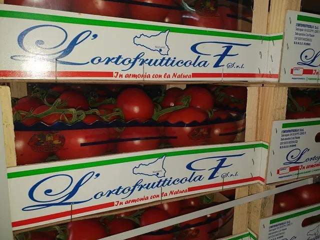 L' ORTOFRUTTICOLA F SRL (MAG. FERRERA )
