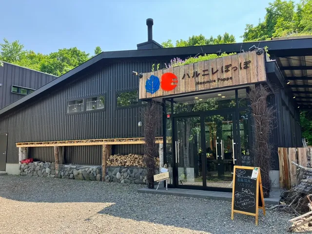 ハルニレぽっぽ