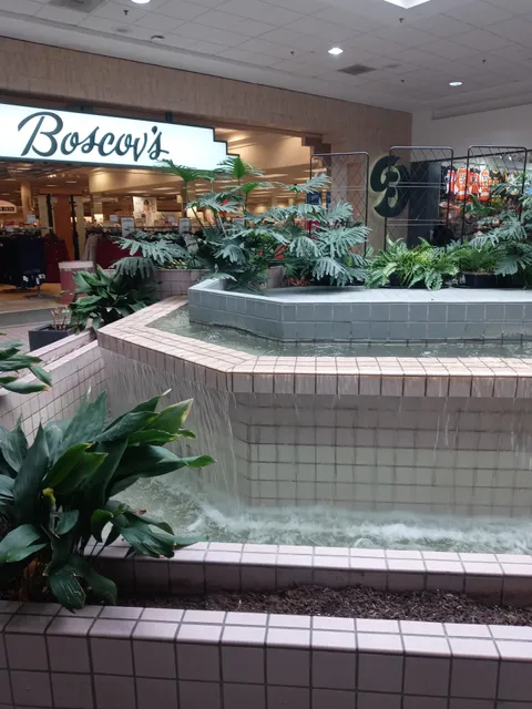 Boscov's