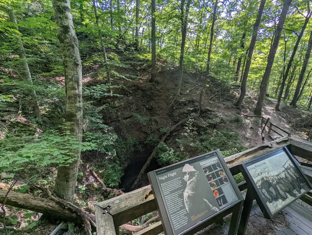 Mammoth Cave Visitor Hangout Picnic Area