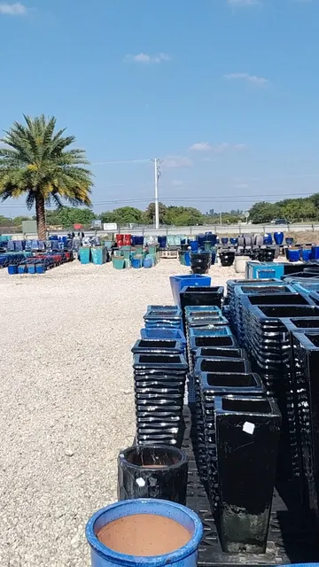 Flamingo Bamboo And Orchid Nursery