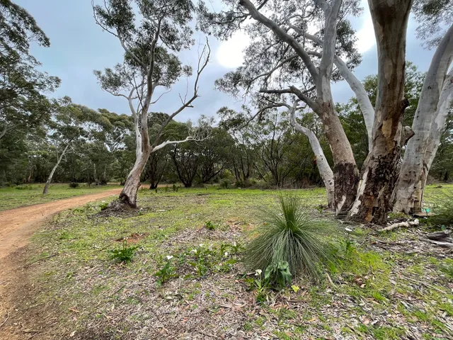 Wilderness by the Sea