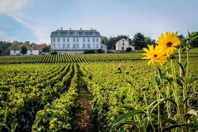 Château de Comblanchien ROUTE DES GRANDS CRUS BOURGOGNE