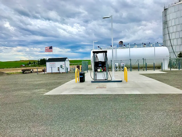 Scharnhorst Petroleum