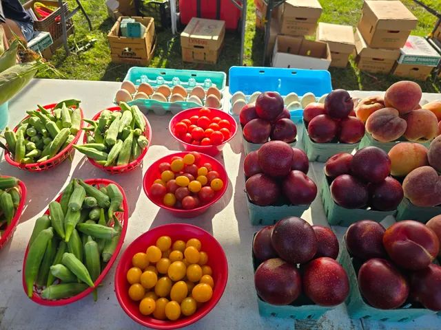 Canton Farmers Market