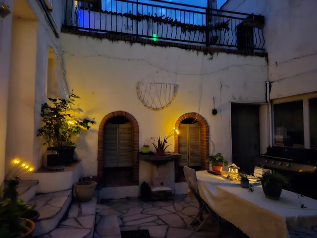 Les colombes de l'Occitanie