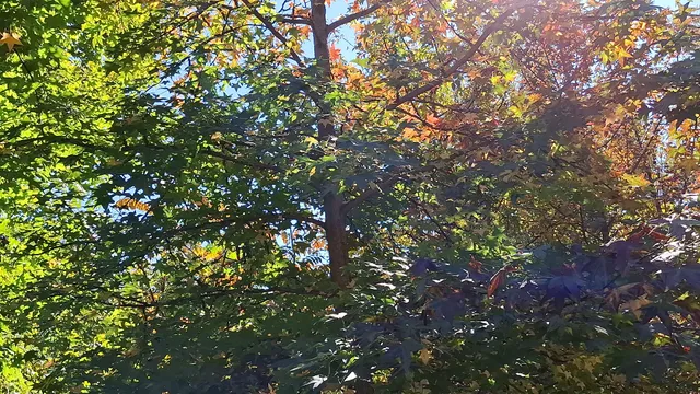 Clay Pit Ponds Interpretive Center