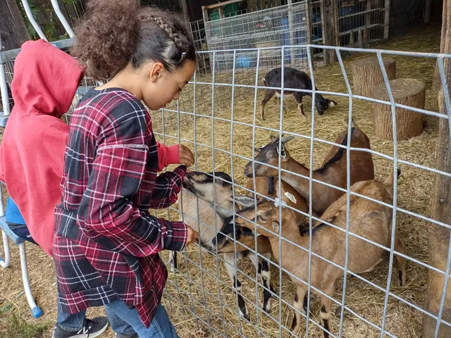 Stewart's Family Farm