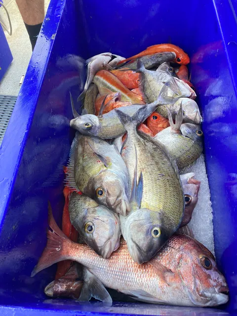 Ulladulla Fishing Charters