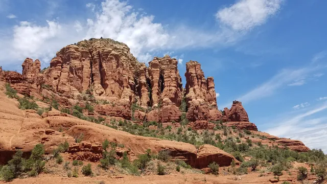 High on the Hog Trail