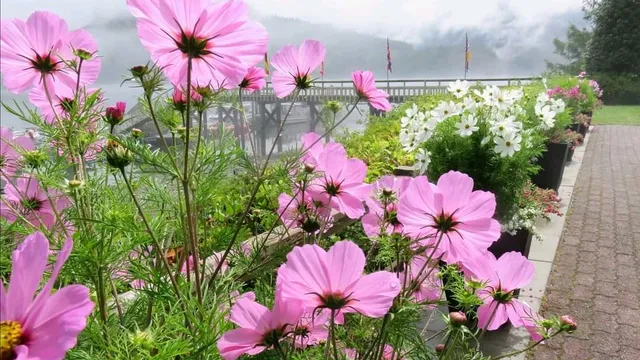 Blind Channel Resort