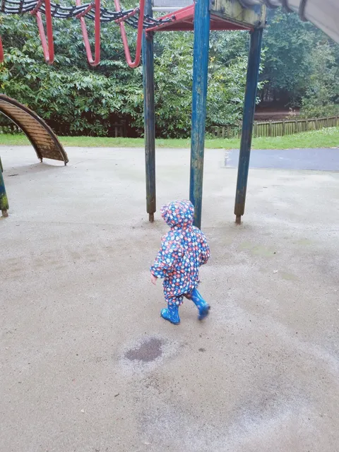 Lickey Hills Playground