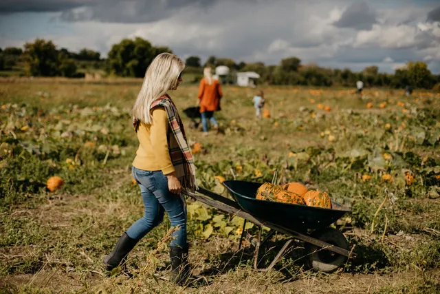 Centre d'Interpretation de la Courge