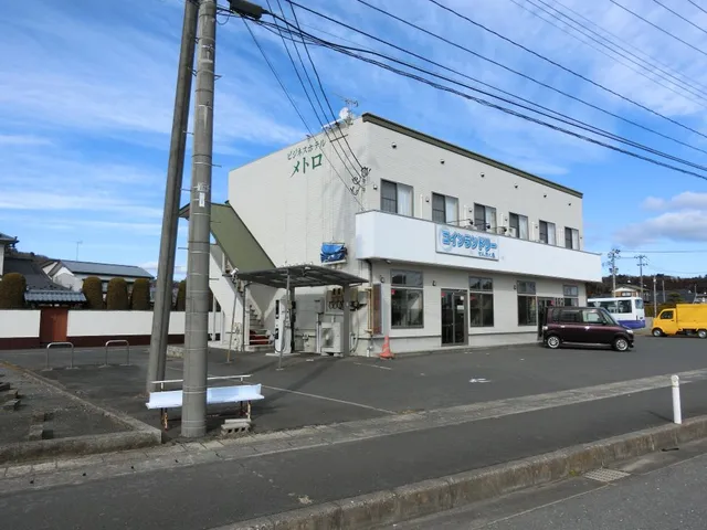 Business Hotel Metro