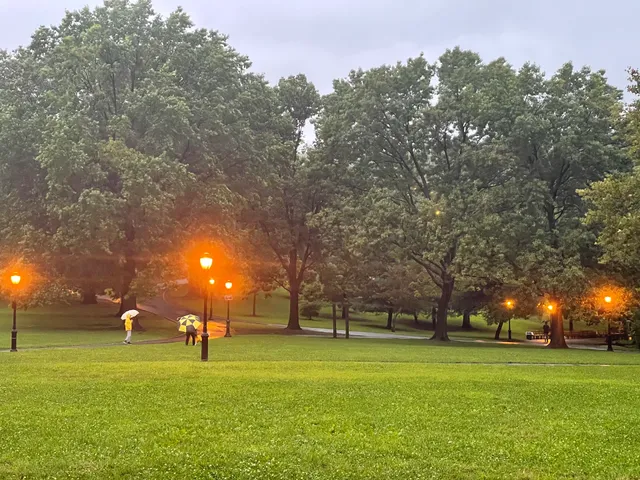 Tree of Peace Garden