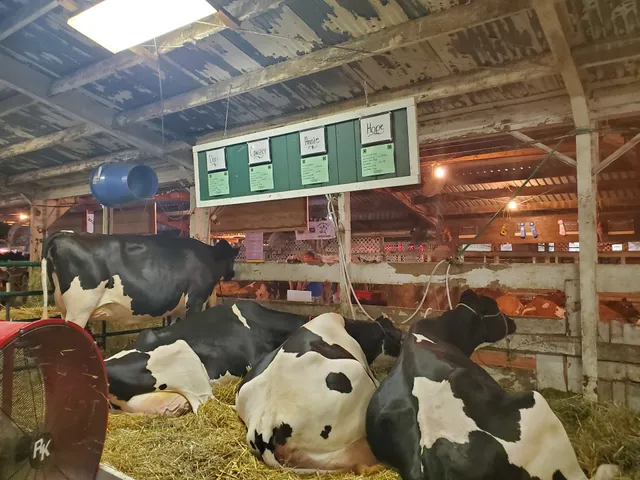 Mount Pleasant Township