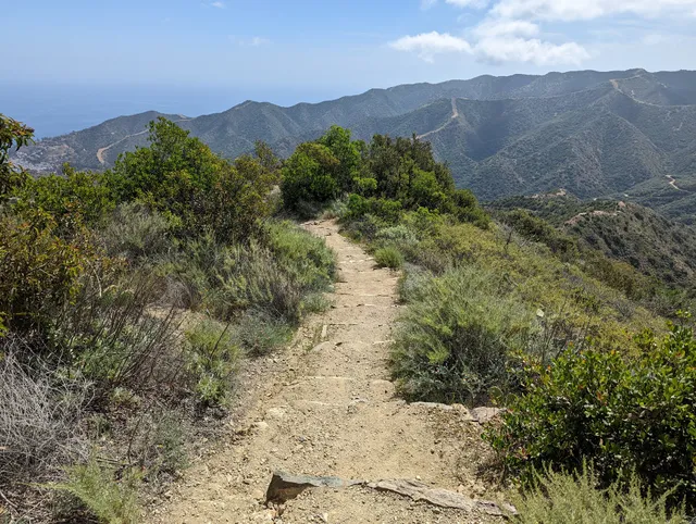 Hermit Gulch Lookout