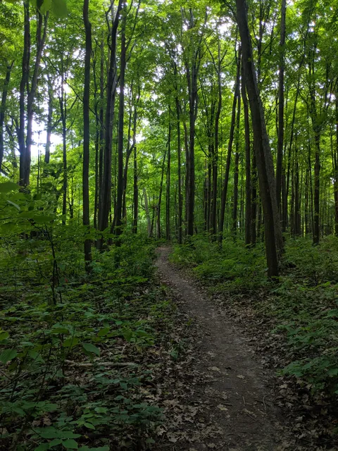 Oak Ridges Corridor, Conservation Reserve in Richmond Hill, Canada ...