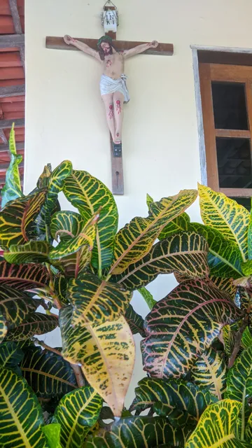 Restaurante e lanchonete palmeiron e cia