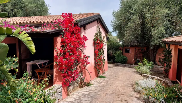 Happy Village - ingresso auto