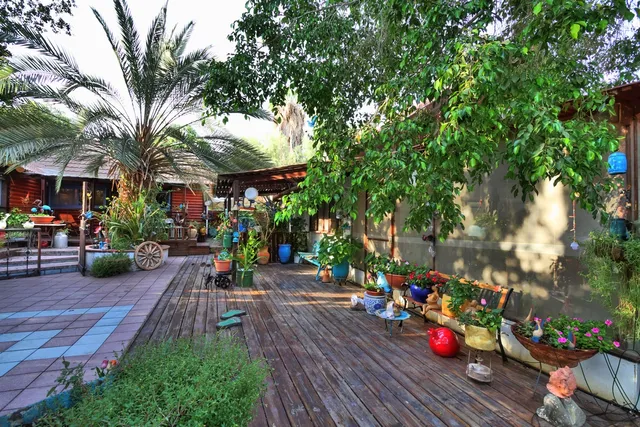 צימר בצל התמר