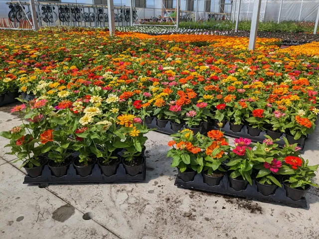 Win Gardens Greenhouse