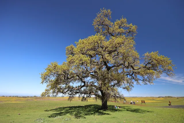 Phantom Falls Trailhead Parking