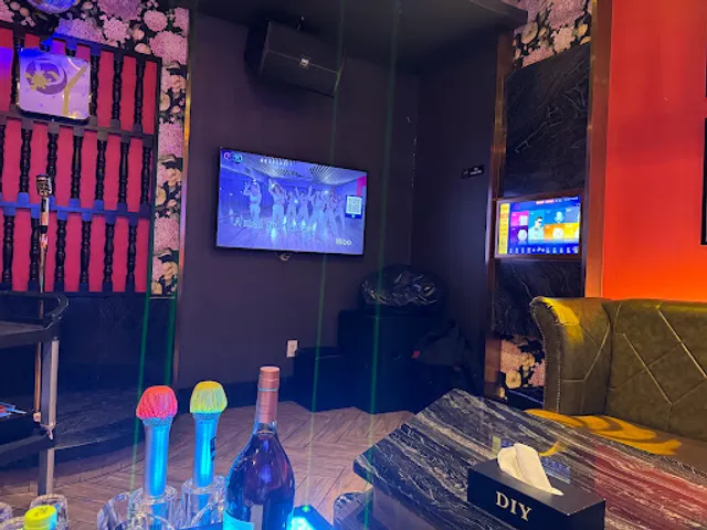 DIY KTV Flagship Store