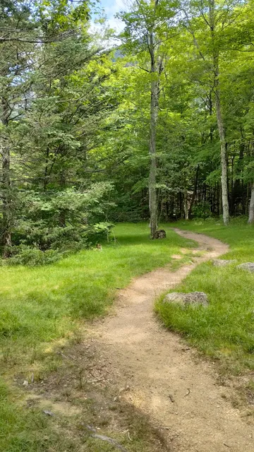 photo-3