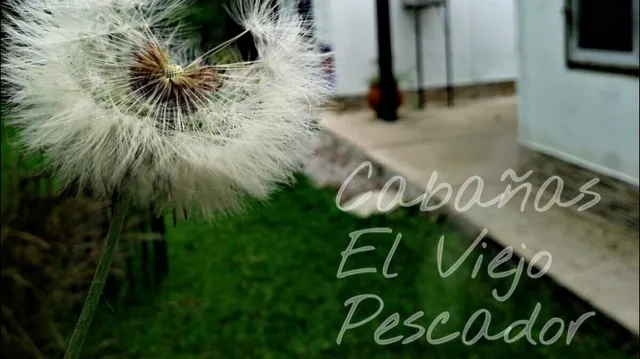 Cabañas Empedrado El Viejo Pescador