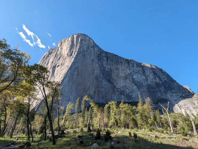 The Base of the Nose