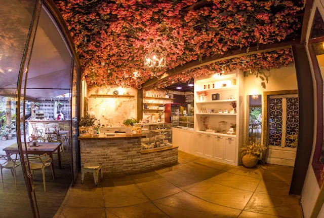 Thais Góis Cozinha Especial