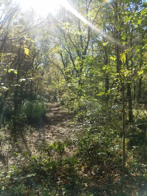 AUGUST A. BUSCH MEM. CONSERVATION AREA RANGE COMPLEX