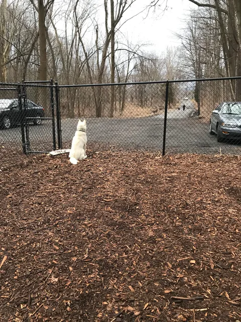 Peekskill Dog Park