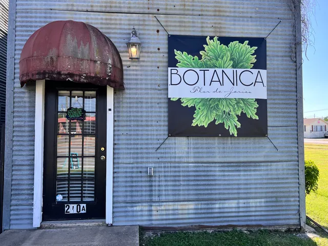 Botanica Flor De Jerico