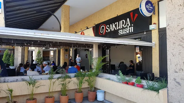 YoSakura Sushi Villa Teresa