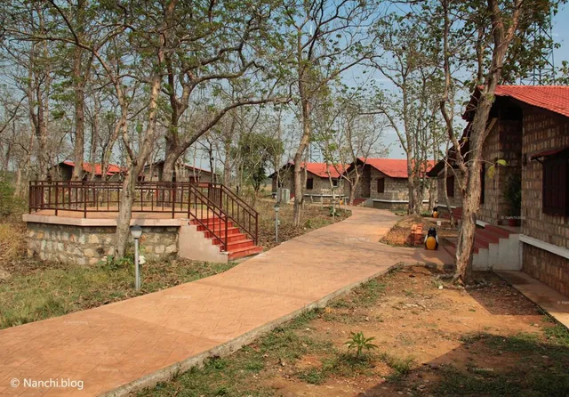 MTDC MOHARLI (Tadoba)
