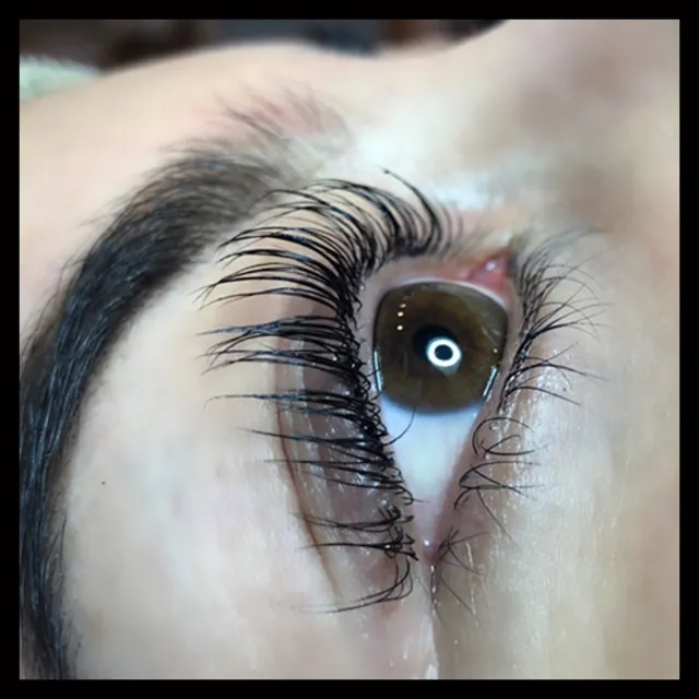 Lipa’s Lashes
