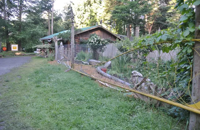 Tribune Bay Campsite