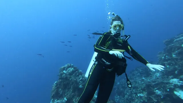 Pro Dive International Occidental Cozumel