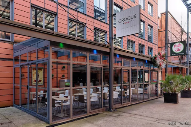 Crocus - Creative Salad