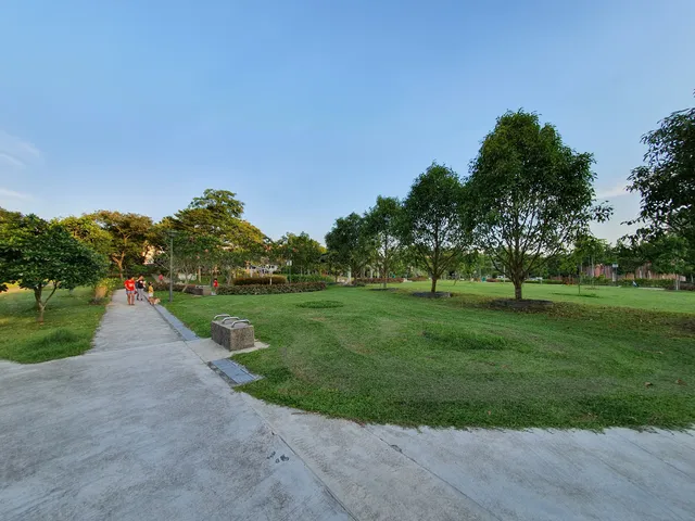 Cashew Road Playground